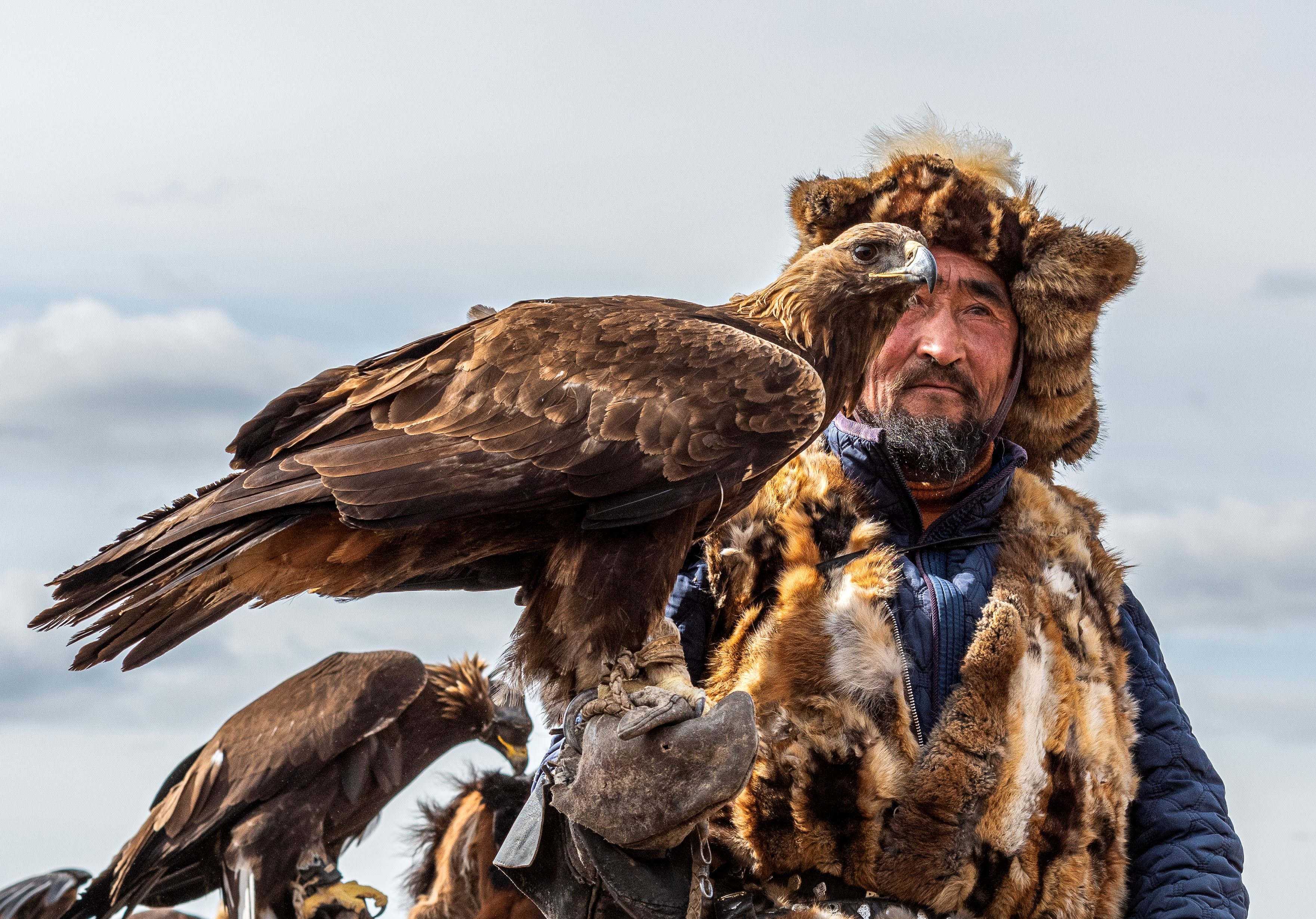 eagle hunting tour Eagle hunting