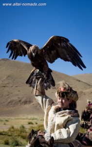 golden eagle